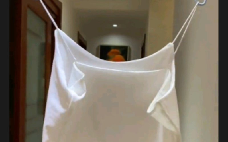 向幸福出发种一棵树最好的时机是十年前