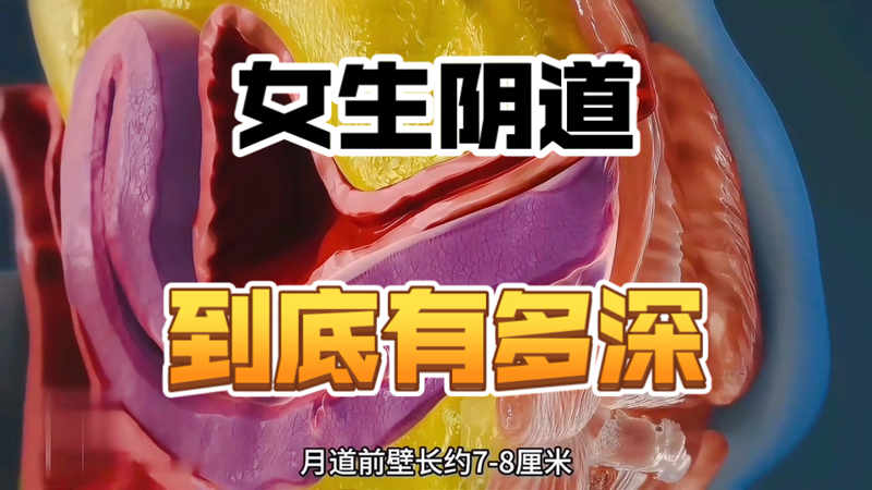 电影网在线观看继往开来