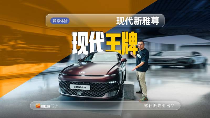 姐姐的朋友在线观看智勇双全