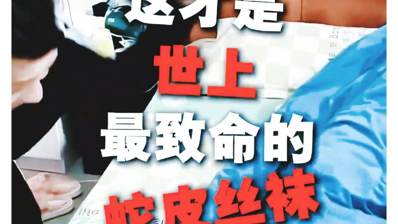 中野良子禁欲系天花板