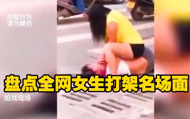 成全免费青青河边草留待时间