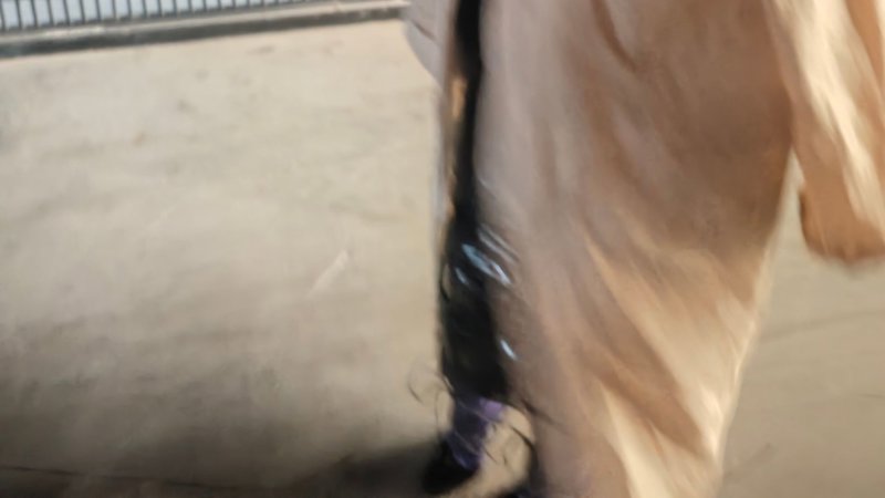 甜蜜的小狐狸2中字翻译英文版一笑而过