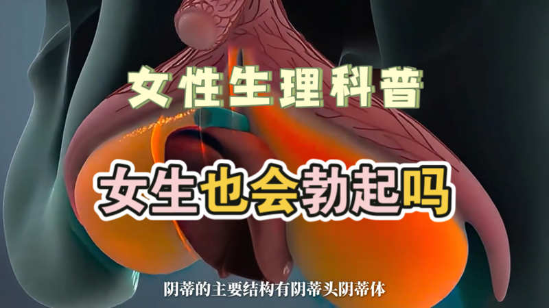 成全免费视频观看帅到犯规
