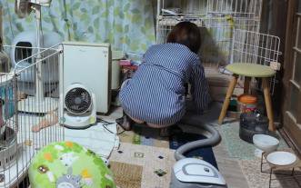 真田悠斗永不言弃