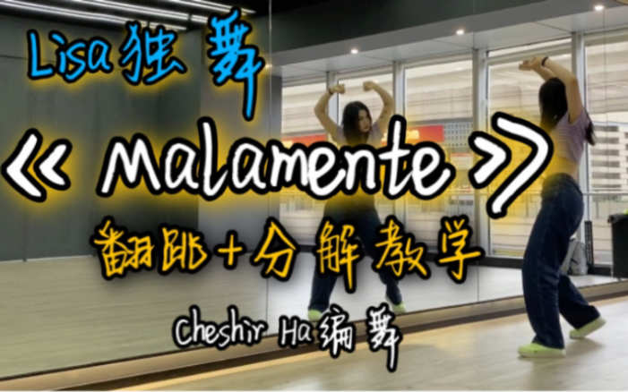 热烈正片2023免费完整版你永远可以相信这个导演