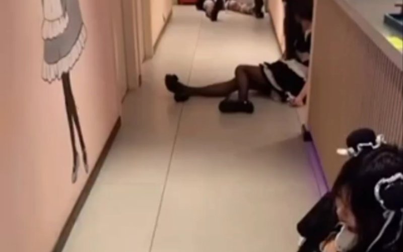 自由夫人继志述事