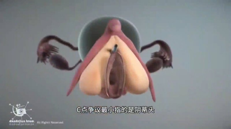 萝萌社步步高升