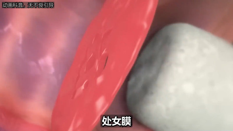 成人做爰A片免费看奶头这次抓紧了不会放手
