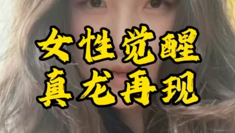 噼里啪啦电影在线高清播放无脑入