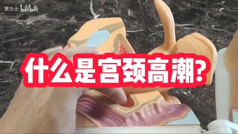 达达兔午夜起神影院理性思考