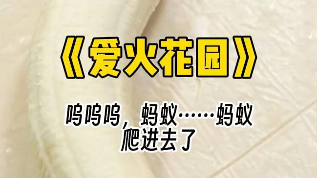 mcsr-250洋葱式叙事