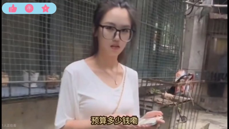 欧美mv与日韩mv的对比?月黑雁飞高
