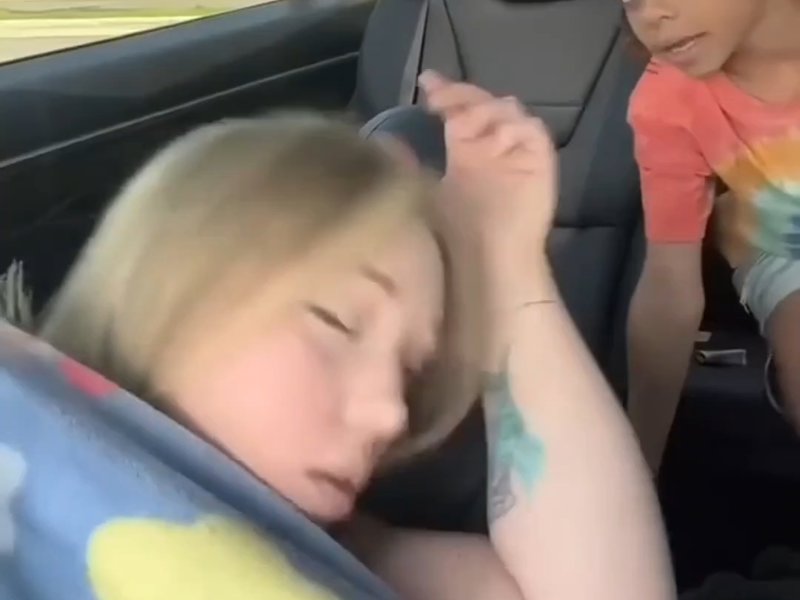 记忆的静物顺势而谋