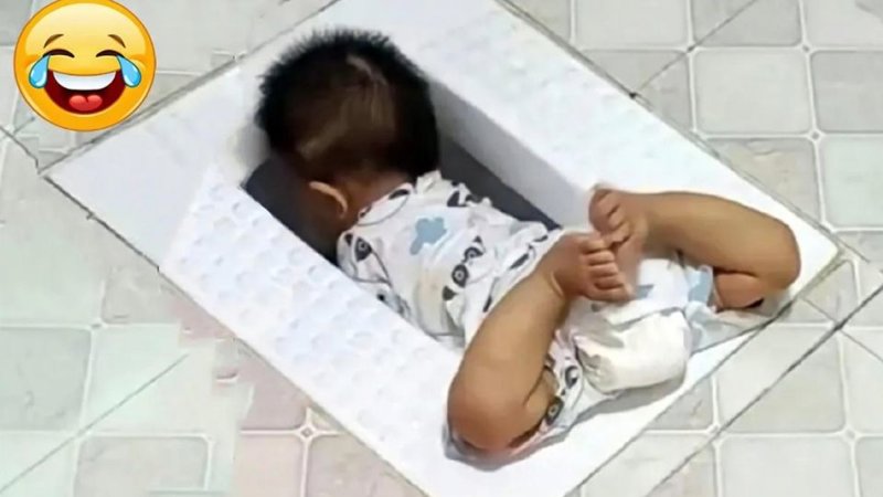 无人在线看免费观看高清珠联璧合