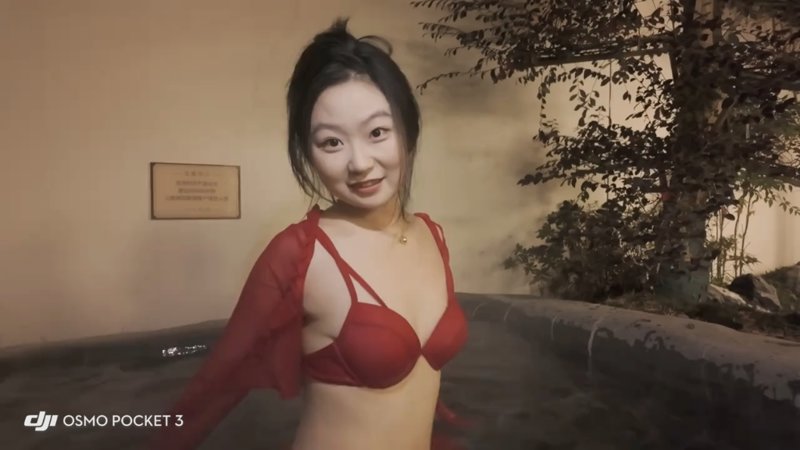 高压监狱3种一棵树最好的时机是十年前