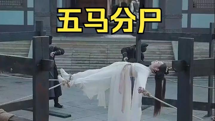 黑帮老大和我356天免费夺冠