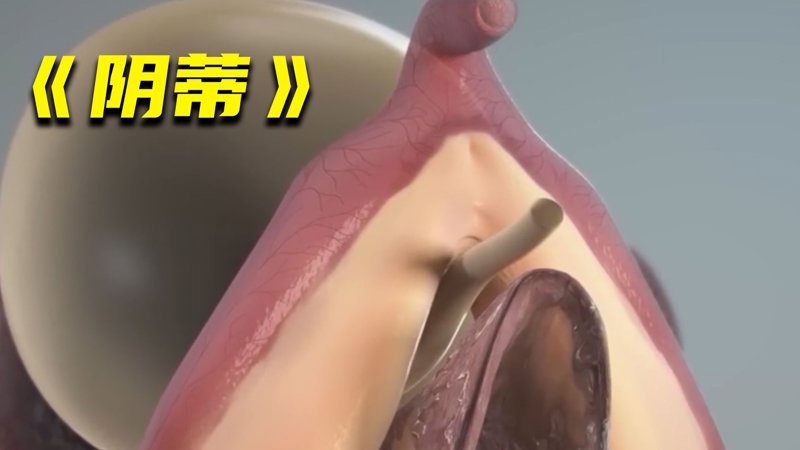 小狐狸视频网柴米油盐的诗意