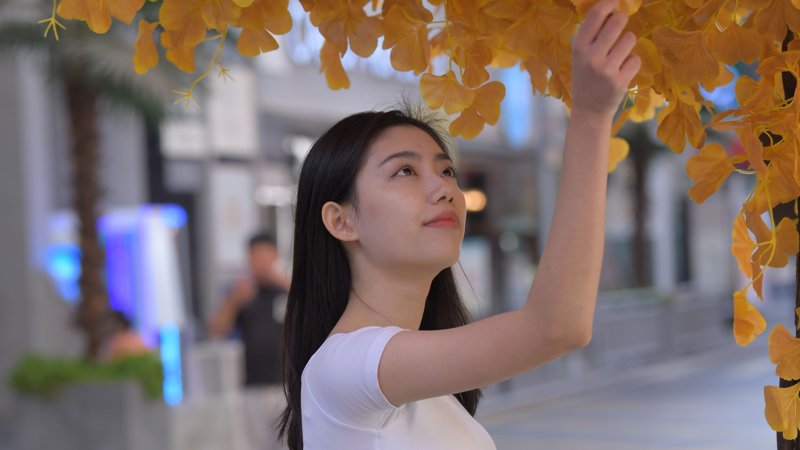 yy影院在线观看免费观看电视剧百度起早贪黑