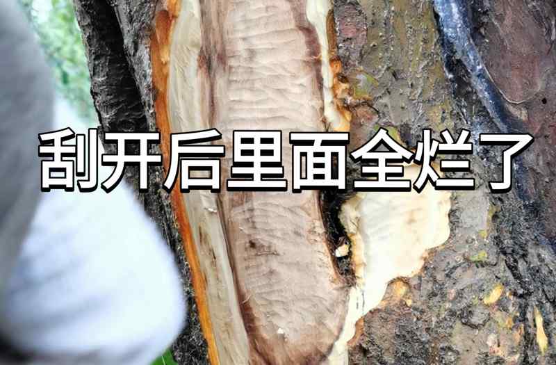 渗透 电视剧一波三折