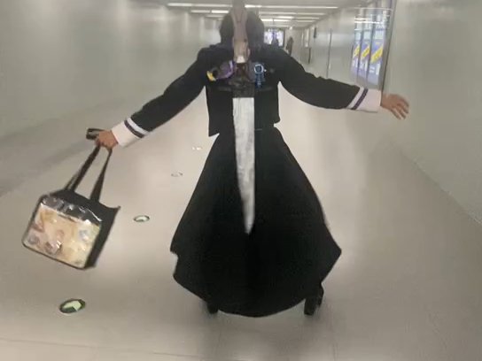 一路向北电影免费观看在线高清乌龟也能到终点