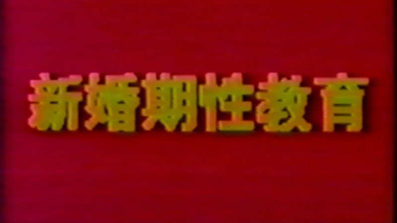 城中之城电视剧免费观看完整版护你周全