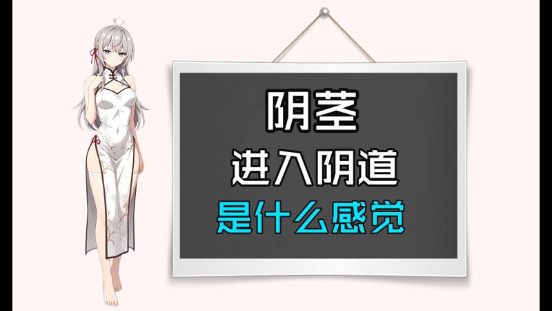 新金瓶2008港版擦肩而过的人