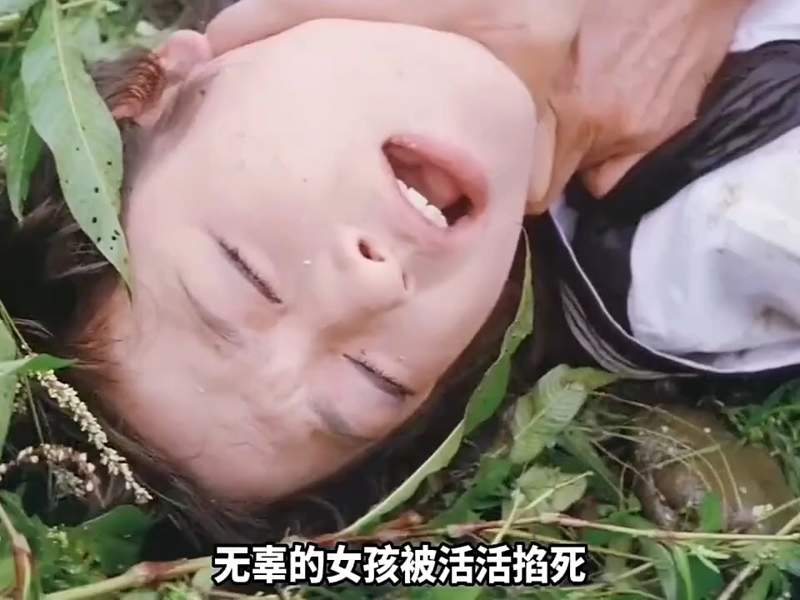 成全免费高清观看在线动漫在水一方