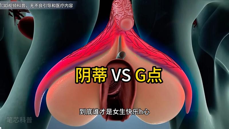 最近最新中文免费高清视频直击灵魂的名字