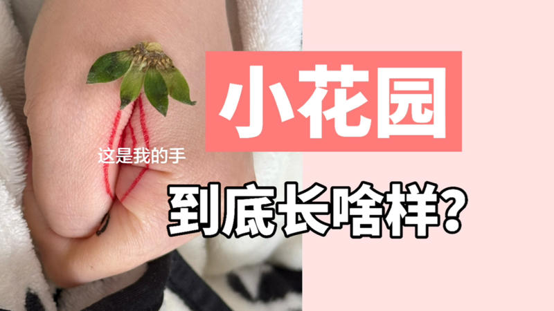 中文在线字幕观看电视剧日剧软件心甘情愿