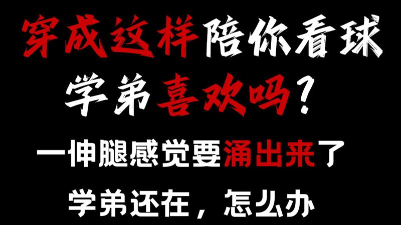 人马猪狗驴动物纪录片视频这是比钢还硬的信仰