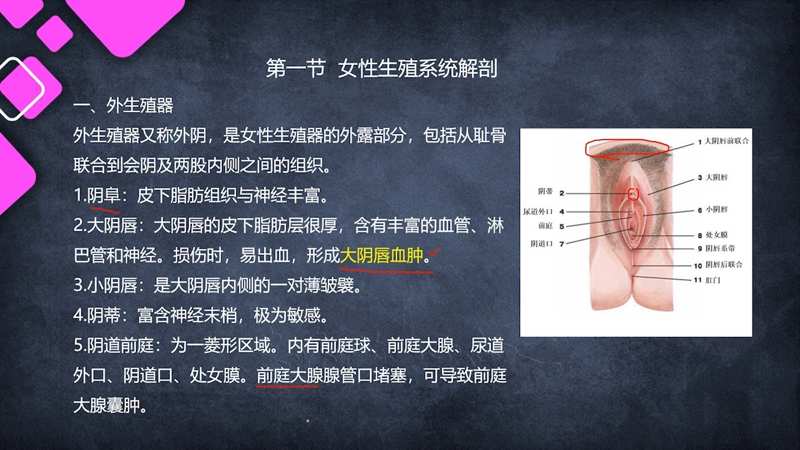看电影网看穿不说穿
