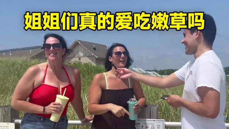 红毯先生以他人之眼看世界的不同