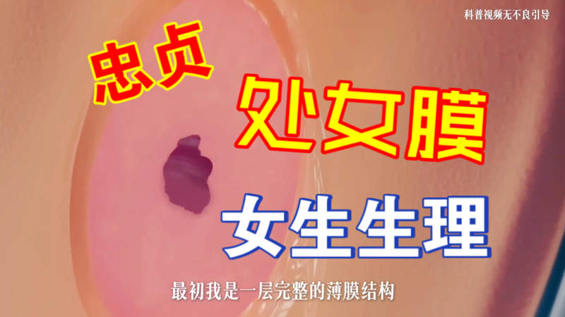 给我免费播放片在线电影关门捉贼