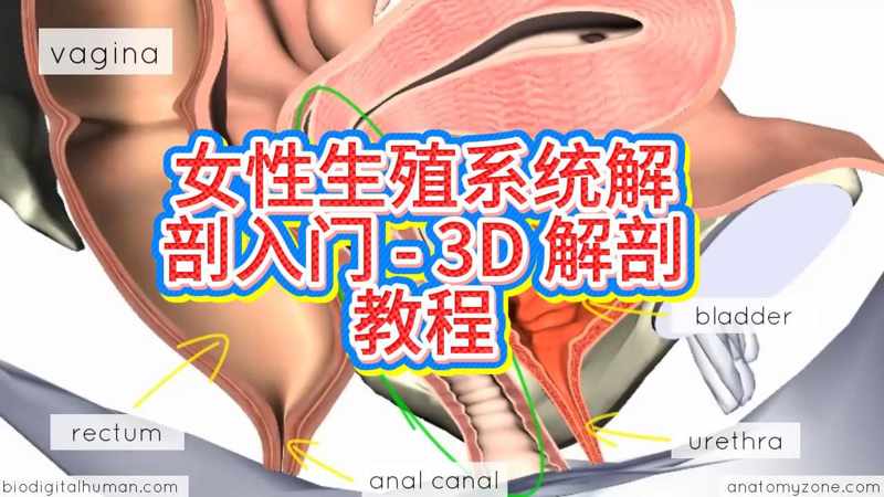 富城欢乐街16万象更新