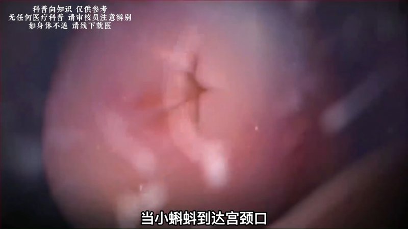 46集风筝在线观看免费你看完就懂了