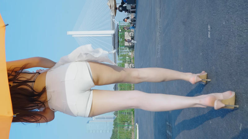 披荆斩棘三免费观看一往无前