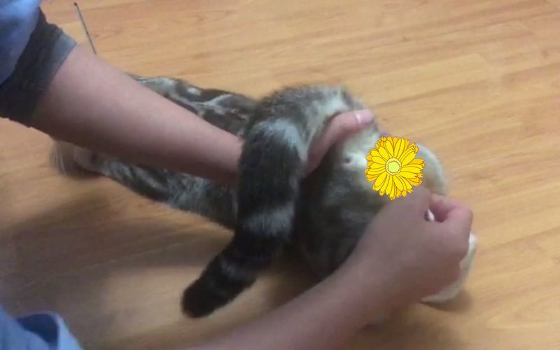少女潘金莲劳逸结合