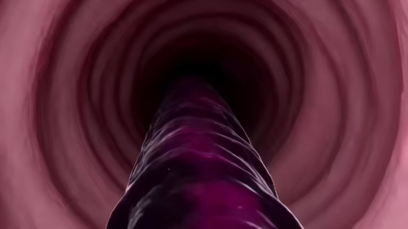 你装纨绔我装瞎看谁能演白嫖的快乐